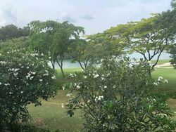 Ocean Drive (D4), Detached #612823981
